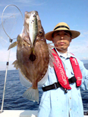 四季の釣り魚